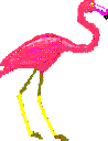 Our Mascot - Sig the Flamingo